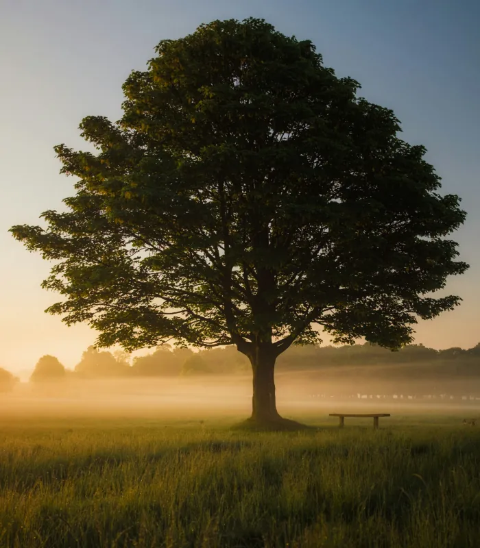 Countryside walks and nature trails